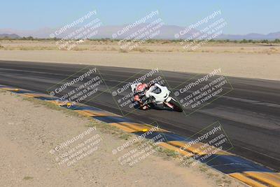 media/Nov-12-2023-SoCal Trackdays (Sun) [[5d1fba4e7d]]/Turn 14 Inside (2pm)/